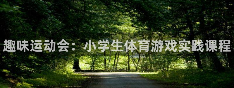 趣味运动会：小学生体育游戏实践课程