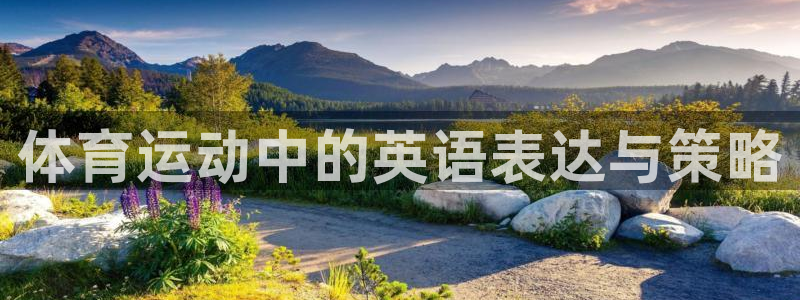 体育运动中的英语表达与策略