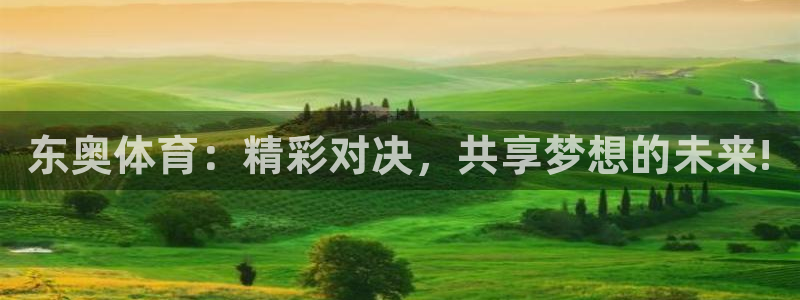 东奥体育：精彩对决，共享梦想的未来!