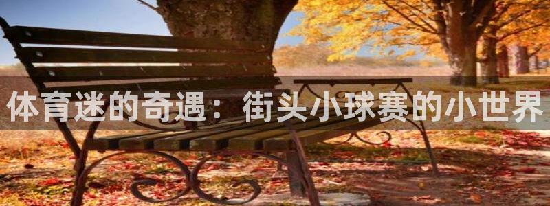 体育迷的奇遇：街头小球赛的小世界