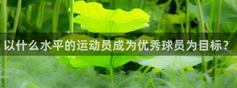 以什么水平的运动员成为优秀球员为目标？