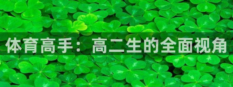 体育高手：高二生的全面视角