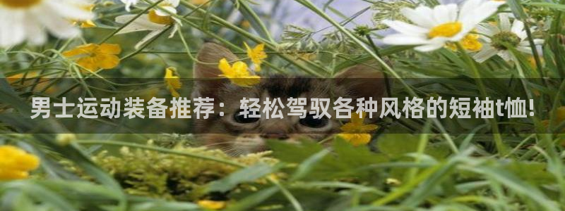 男士运动装备推荐：轻松驾驭各种风格的短袖t恤!