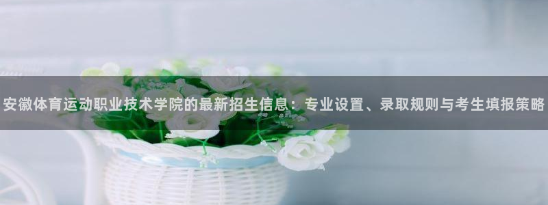 安徽体育运动职业技术学院的最新招生信息：专业设置、录取规则与考生填报策略