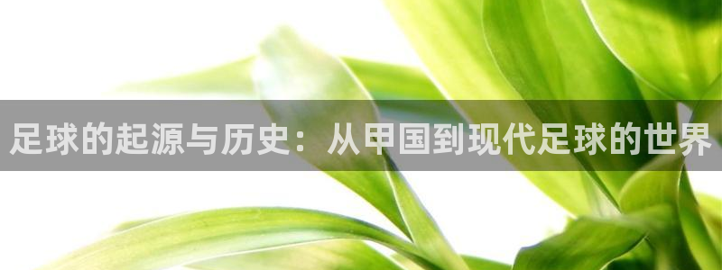 足球的起源与历史：从甲国到现代足球的世界
