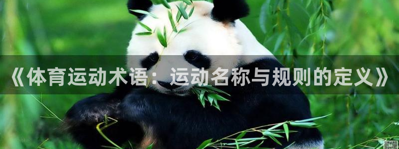 《体育运动术语：运动名称与规则的定义》