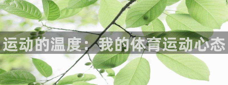运动的温度：我的体育运动心态