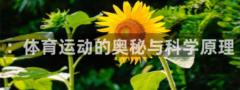 ：体育运动的奥秘与科学原理