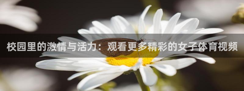 校园里的激情与活力：观看更多精彩的女子体育视频