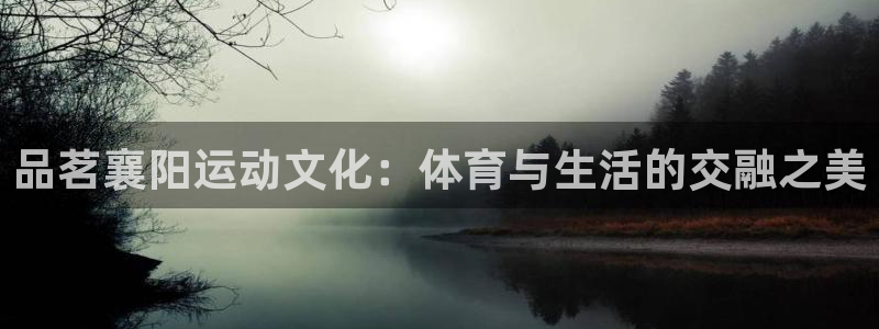 品茗襄阳运动文化：体育与生活的交融之美