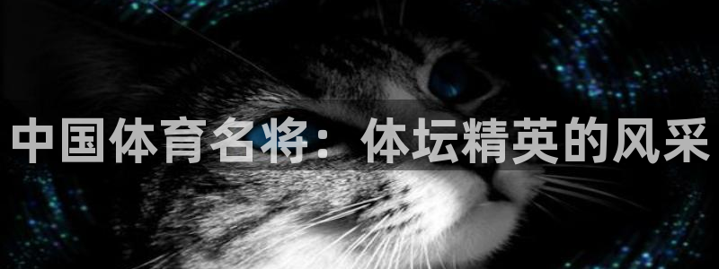 中国体育名将：体坛精英的风采