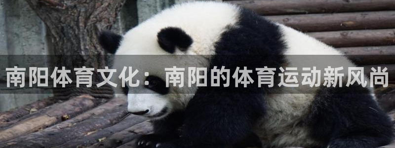 南阳体育文化：南阳的体育运动新风尚