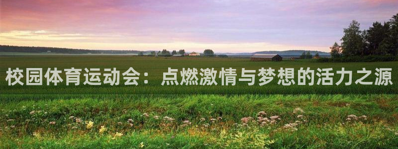 校园体育运动会：点燃激情与梦想的活力之源
