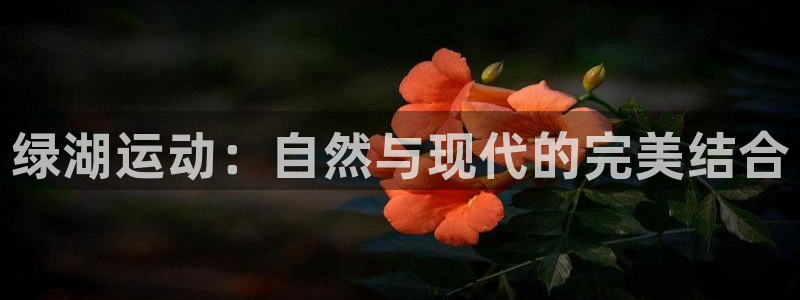 绿湖运动：自然与现代的完美结合