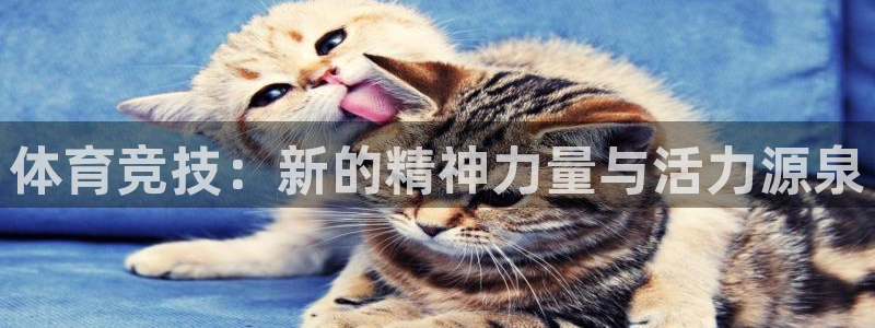 体育竞技：新的精神力量与活力源泉