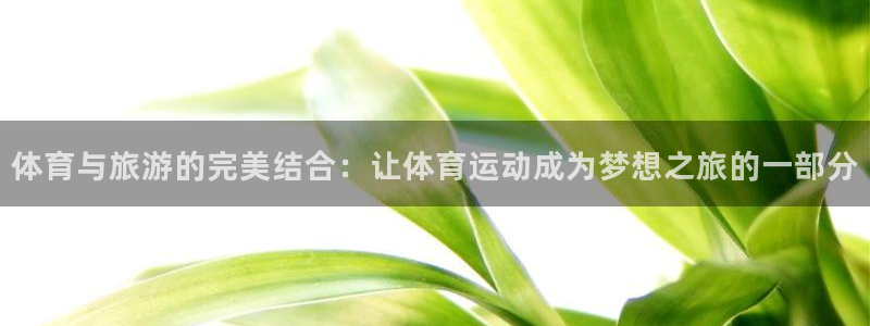 体育与旅游的完美结合：让体育运动成为梦想之旅的一部分