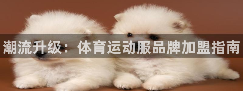 潮流升级：体育运动服品牌加盟指南