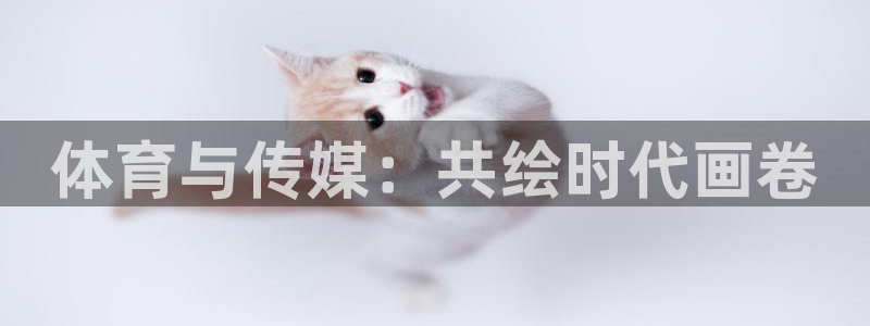 体育与传媒：共绘时代画卷