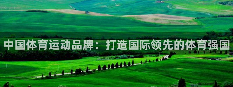 中国体育运动品牌：打造国际领先的体育强国