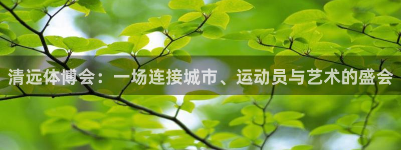 清远体博会：一场连接城市、运动员与艺术的盛会