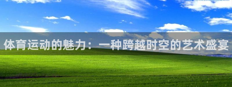 体育运动的魅力：一种跨越时空的艺术盛宴