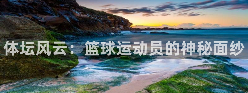 体坛风云：篮球运动员的神秘面纱