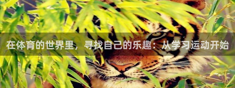 在体育的世界里，寻找自己的乐趣：从学习运动开始