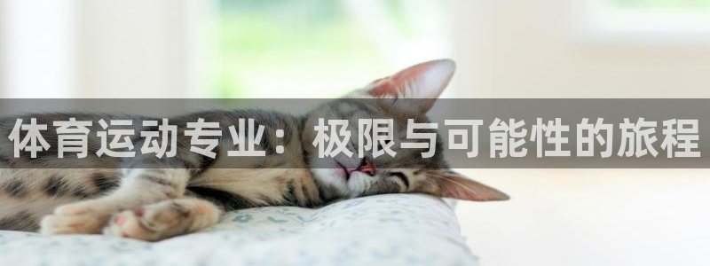 体育运动专业：极限与可能性的旅程