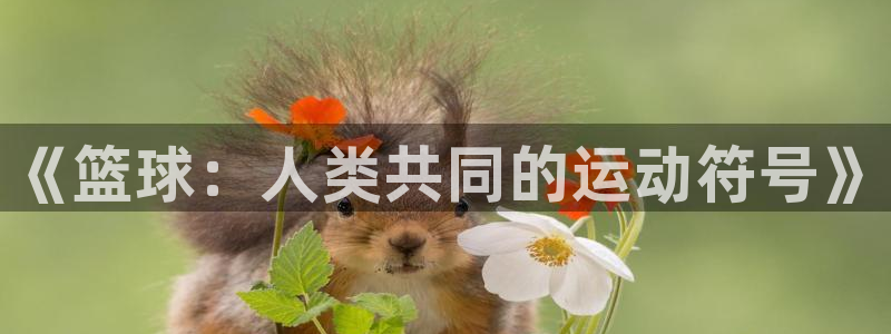 《篮球：人类共同的运动符号》