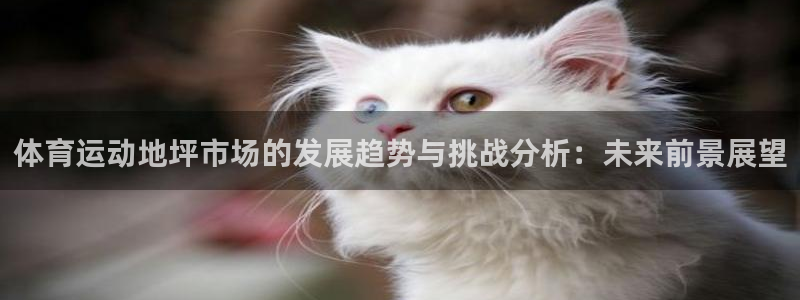 体育运动地坪市场的发展趋势与挑战分析：未来前景展望
