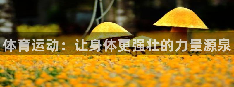 体育运动：让身体更强壮的力量源泉