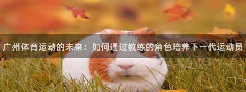 广州体育运动的未来：如何通过教练的角色培养下一代运动员