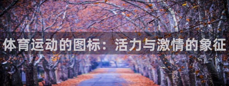 体育运动的图标：活力与激情的象征
