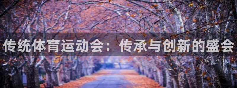 传统体育运动会：传承与创新的盛会