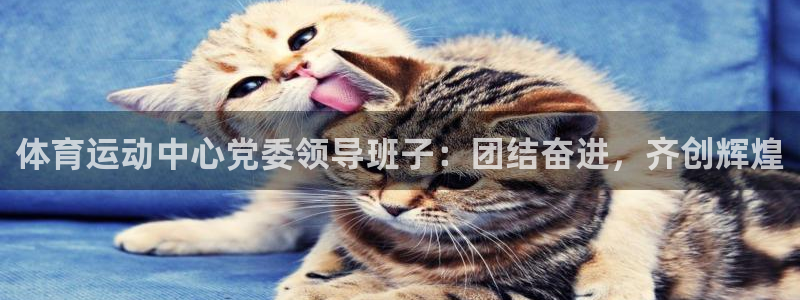 体育运动中心党委领导班子：团结奋进，齐创辉煌